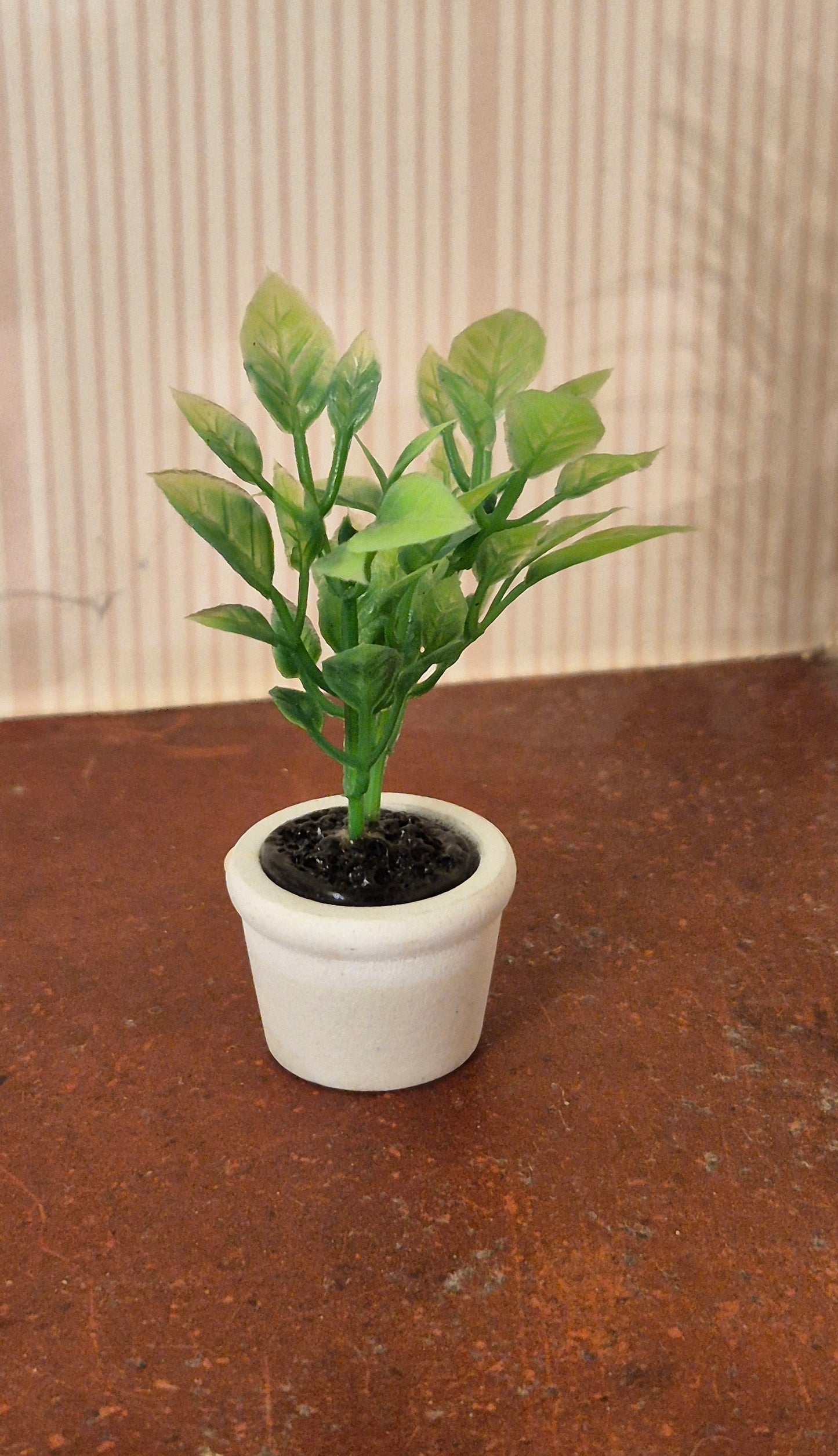 Plante