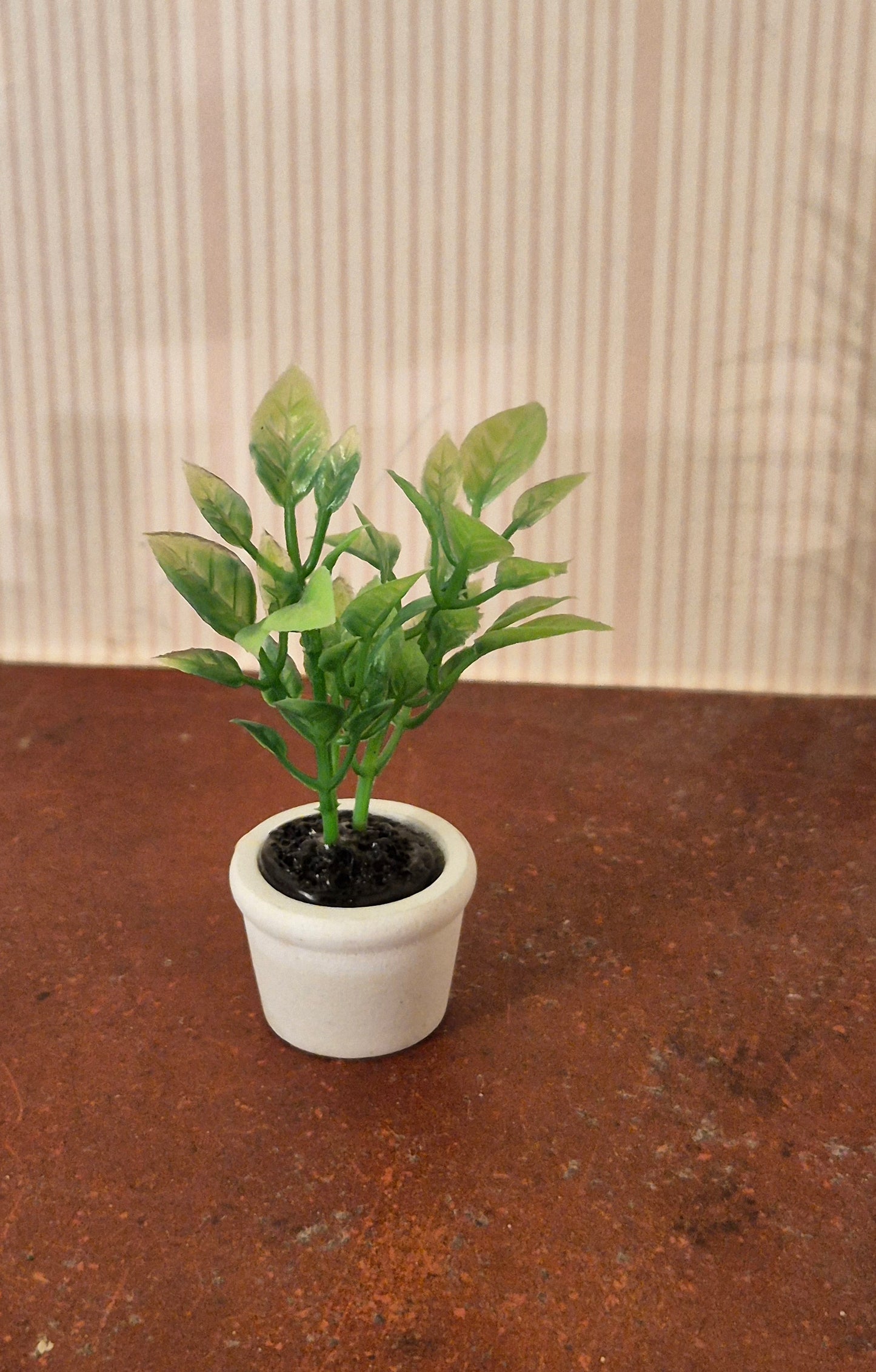 Plante