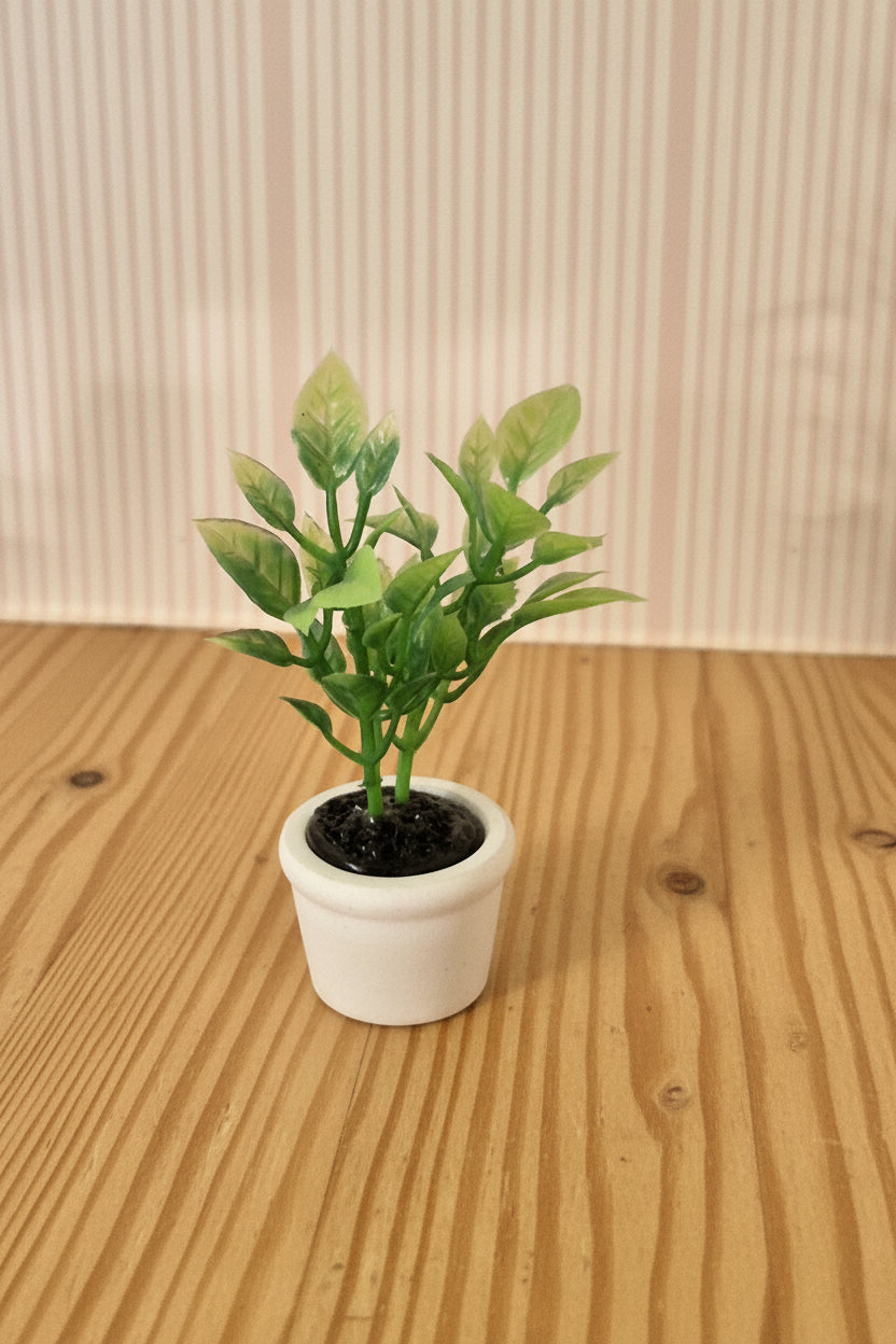 Plante