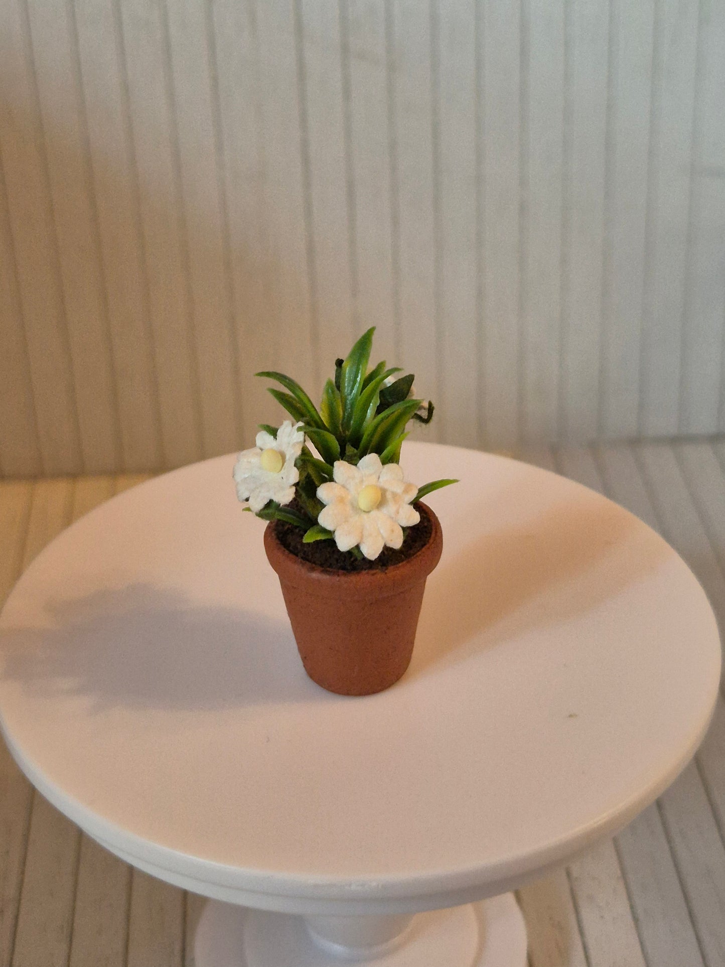 Blomst i krukke