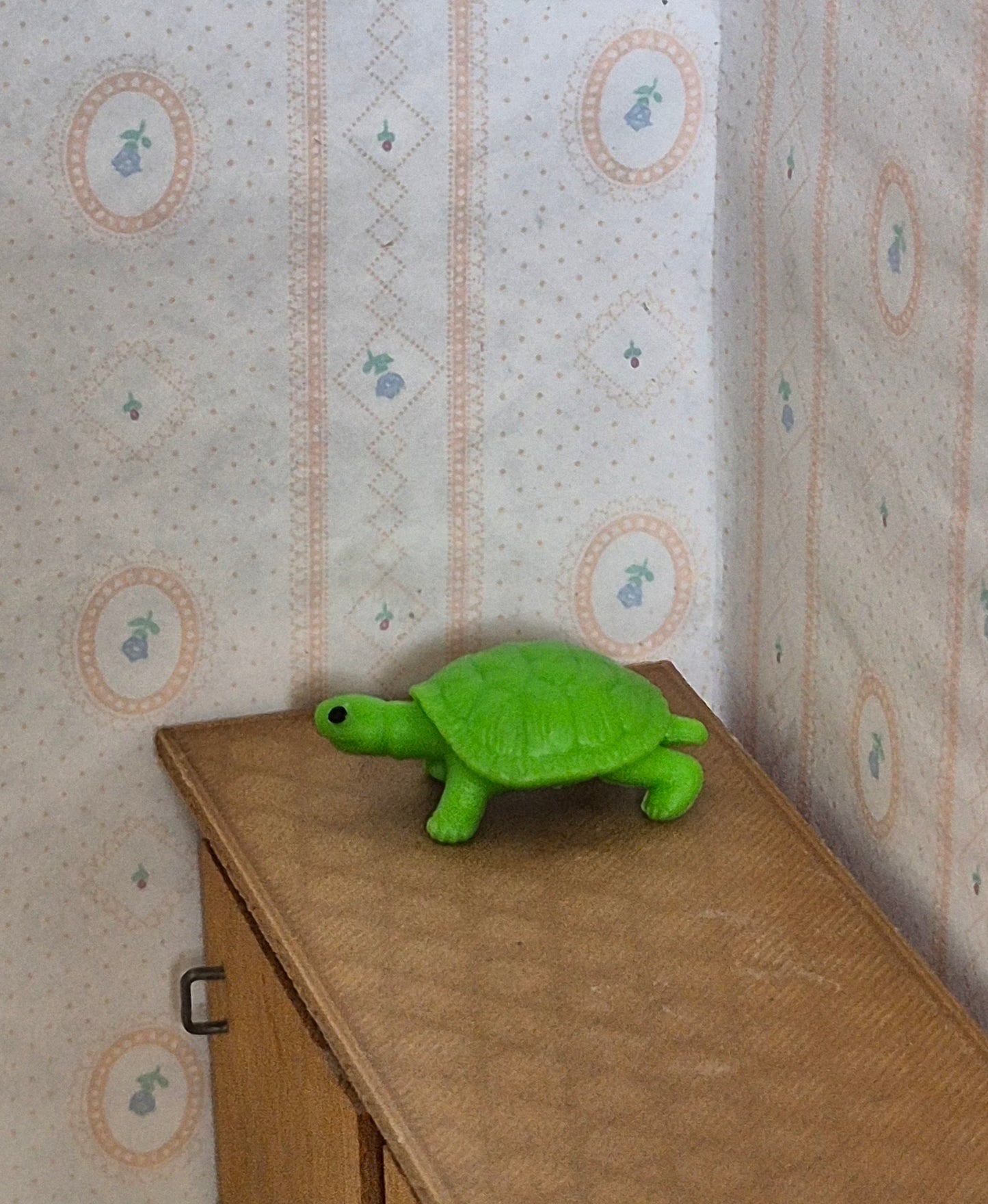 Skildpadde legetøj