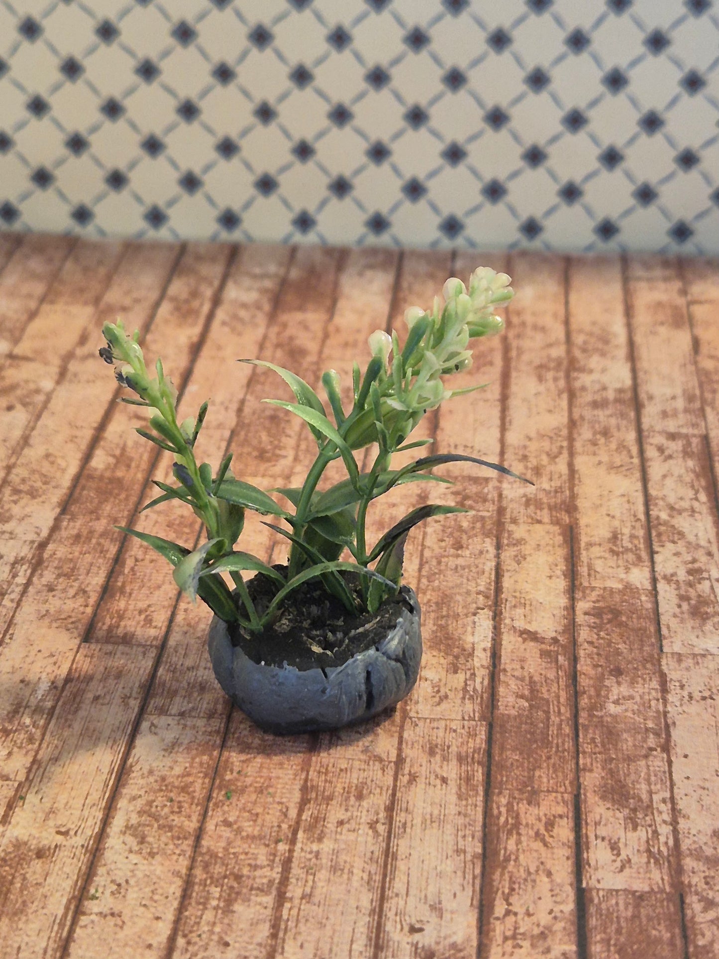 Plante