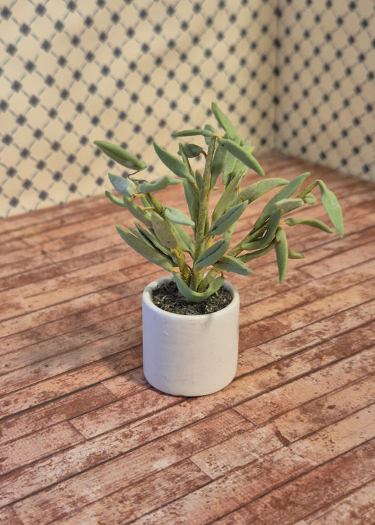 Lundby plante