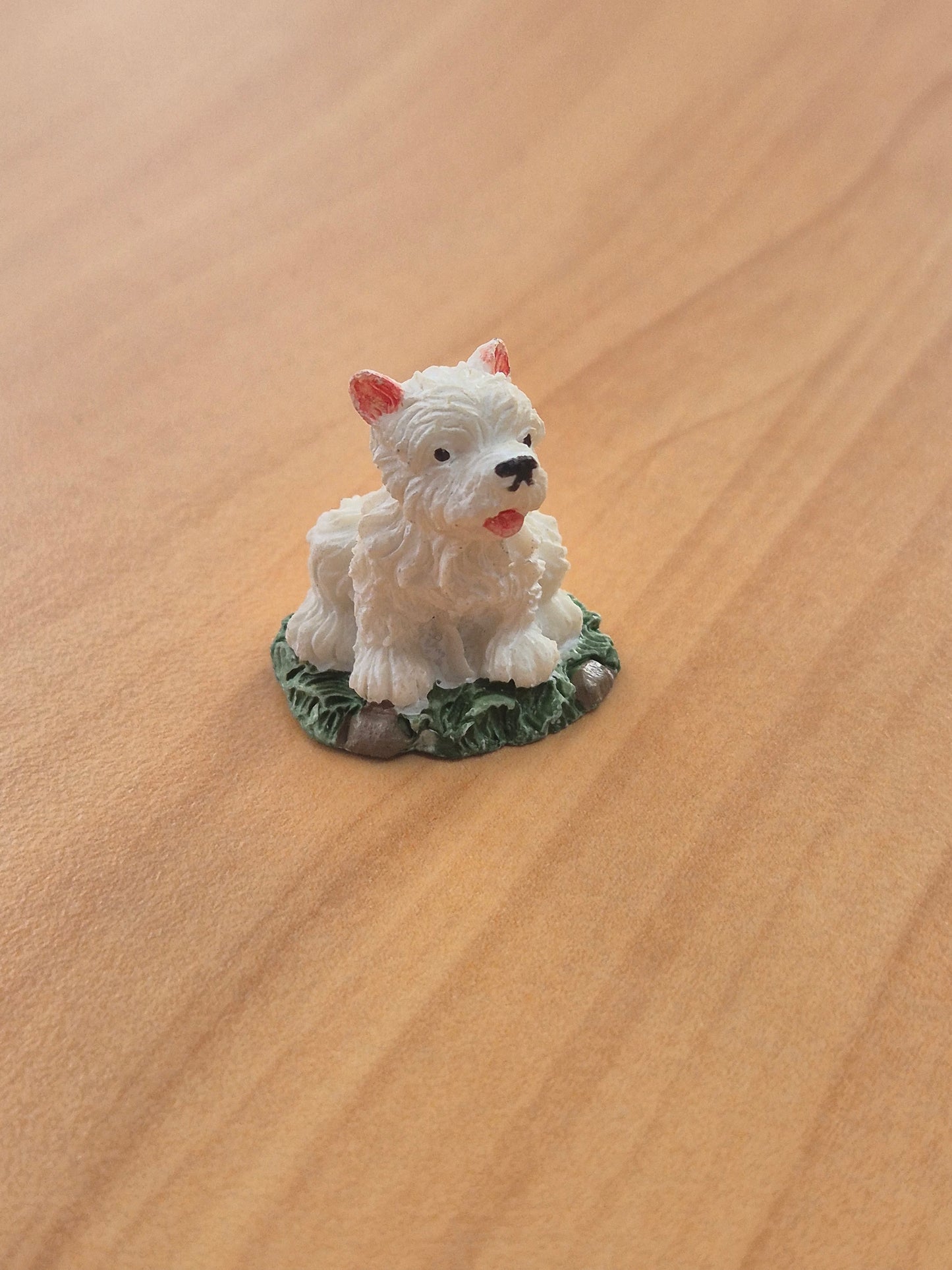 Hund