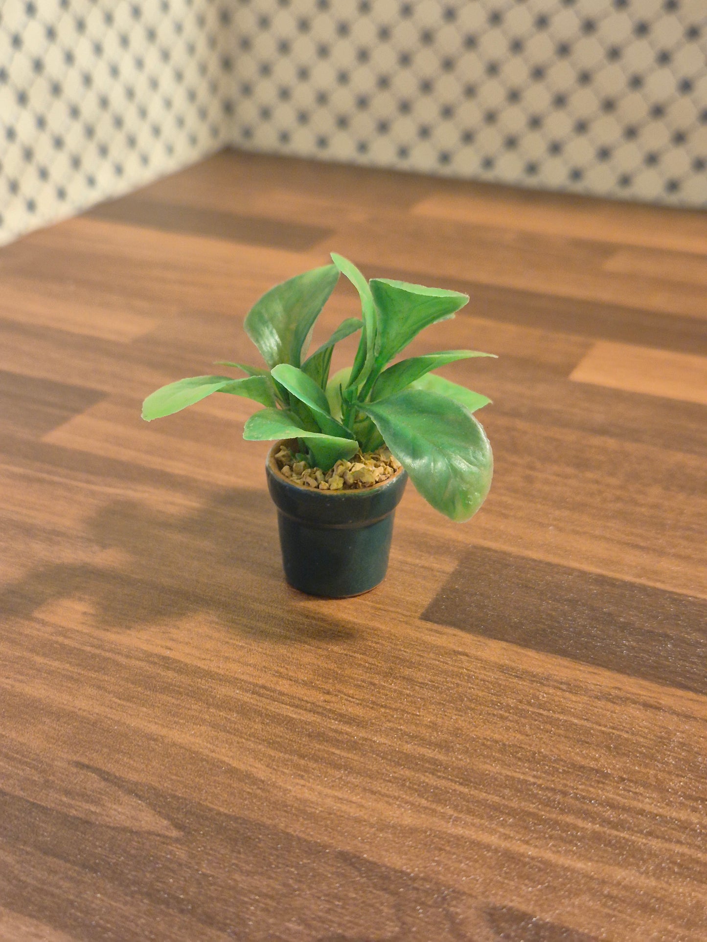 Plante