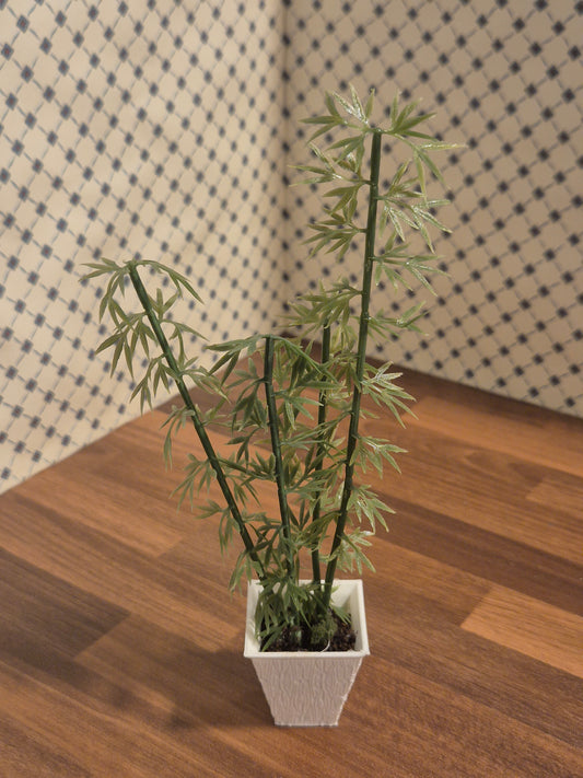 Plante
