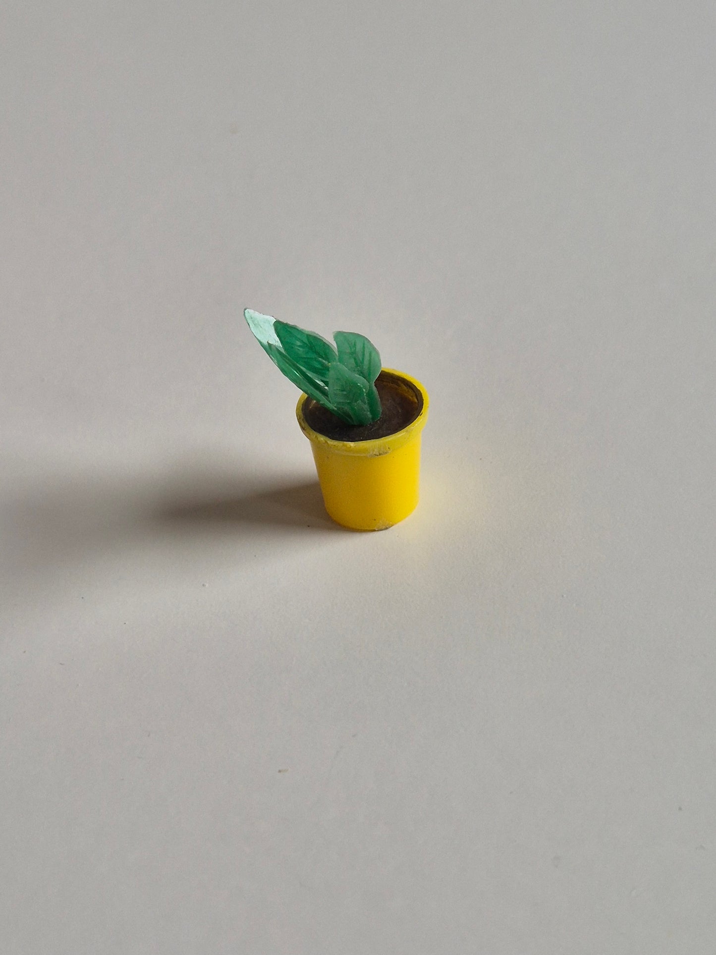 Blume, Pflanze im Blumentopf
