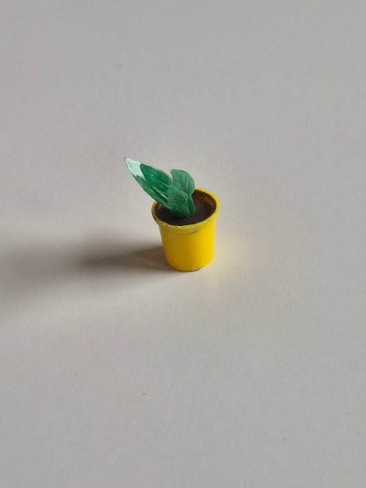 Blomst, plante i urtepotte