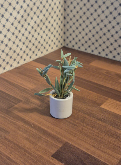 Lundby plante