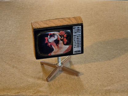 Lisa klovne TV