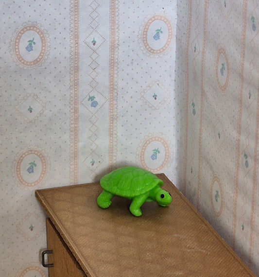 Skildpadde legetøj