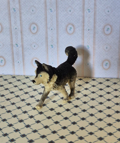 1:16 hund