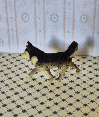 1:16 hund