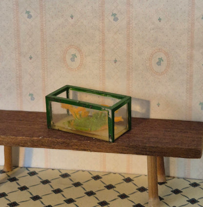 Caroline Home akvarie