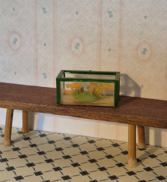 Caroline Home akvarie