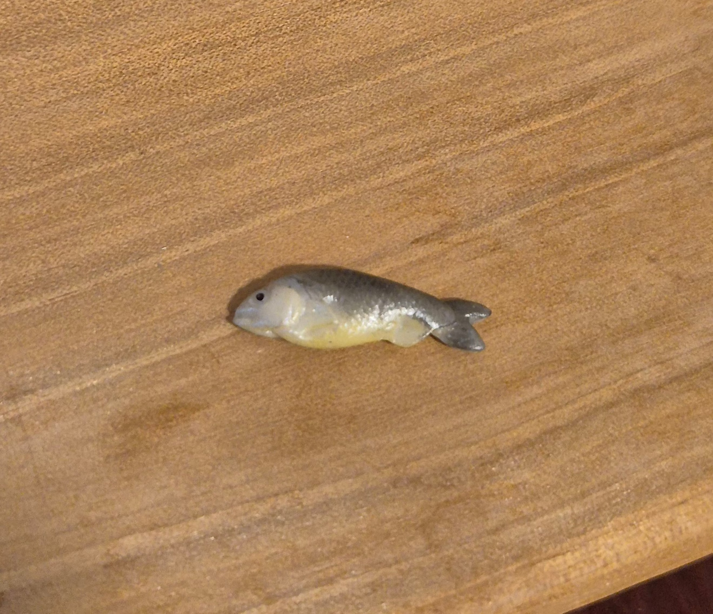 Fisk