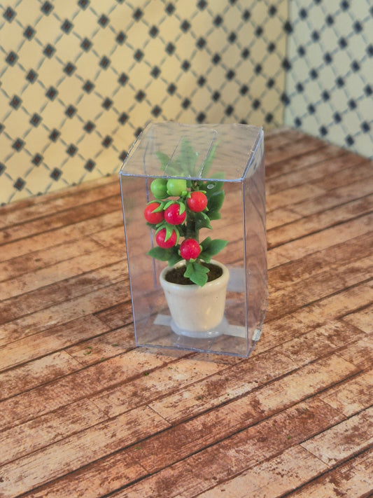 Ny 1:12 tomat plante