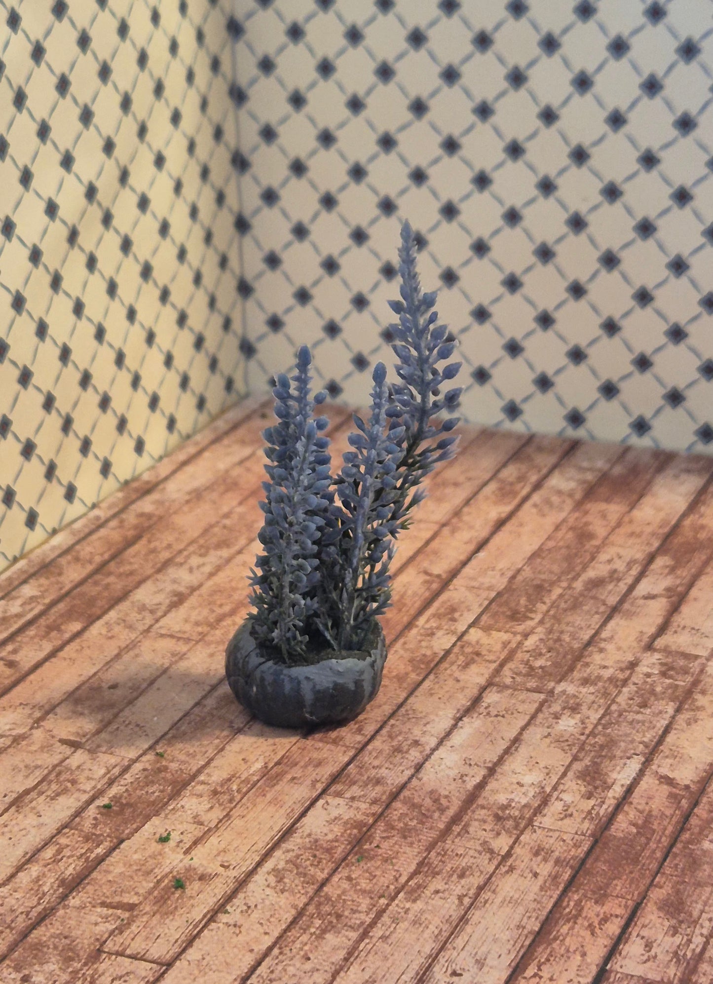 Plante