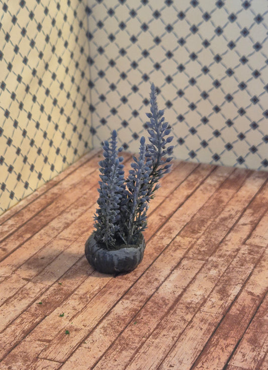 Plante