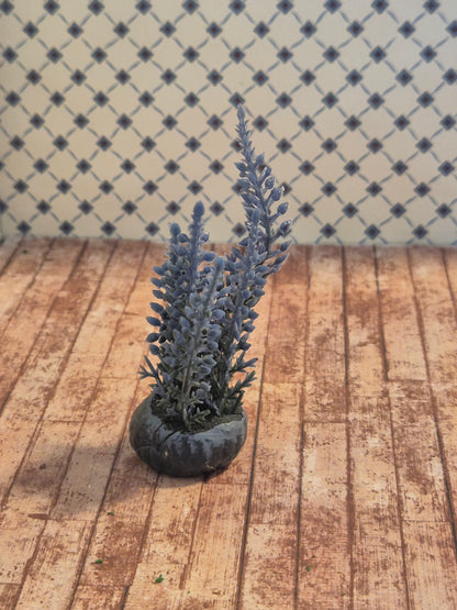Plante