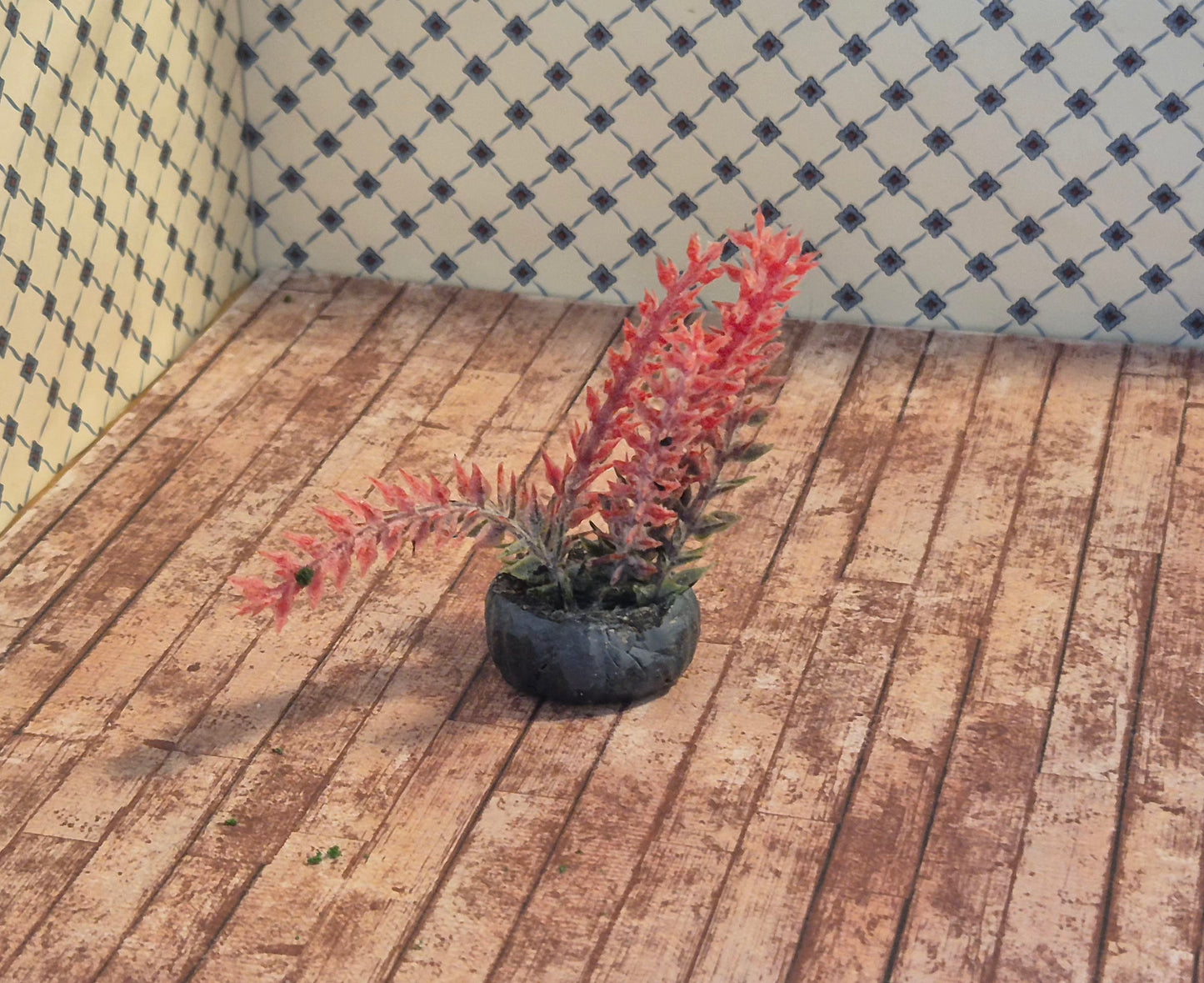 Haveplante