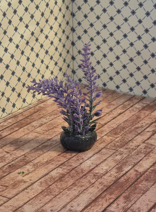Haveplante