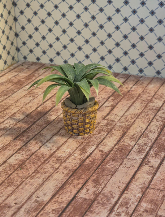 Palme