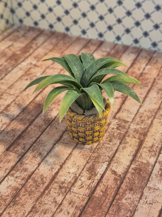 Palme