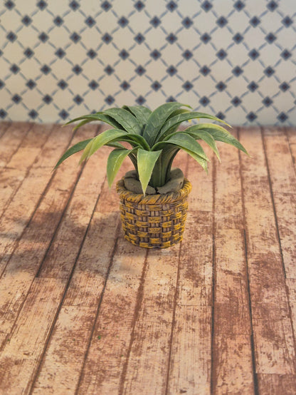 Palme