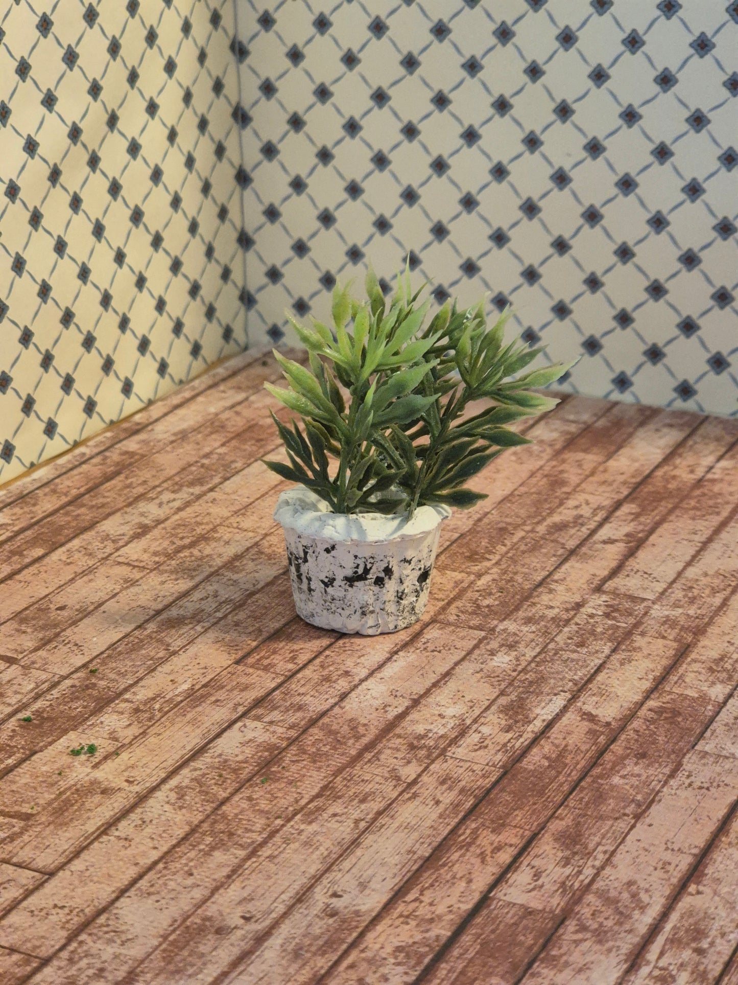 Plante