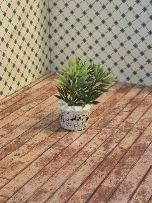 Plante