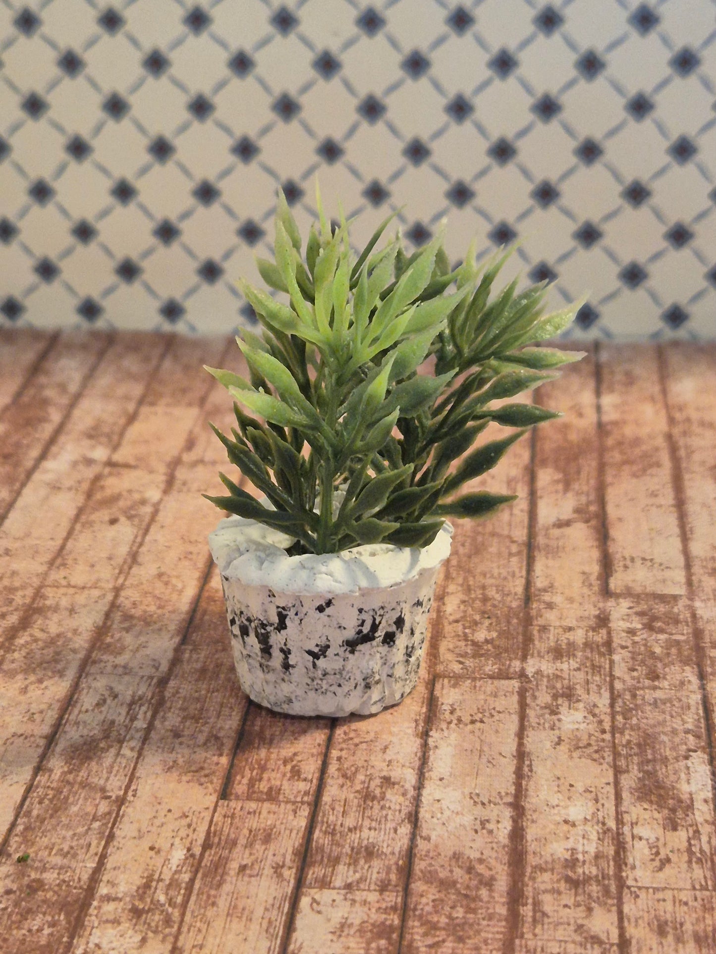 Plante