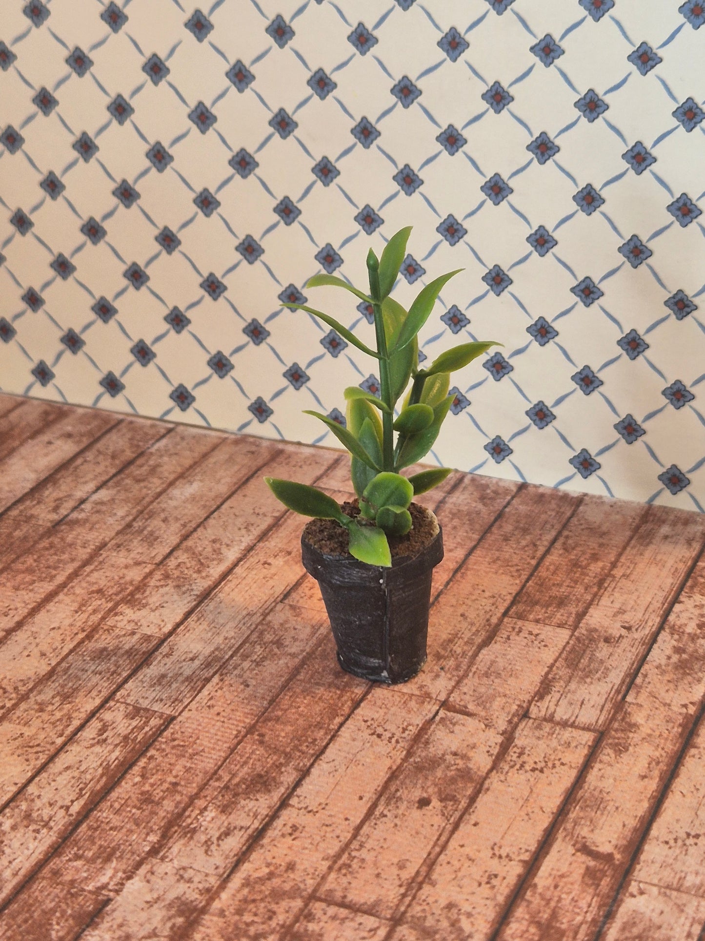 Plante