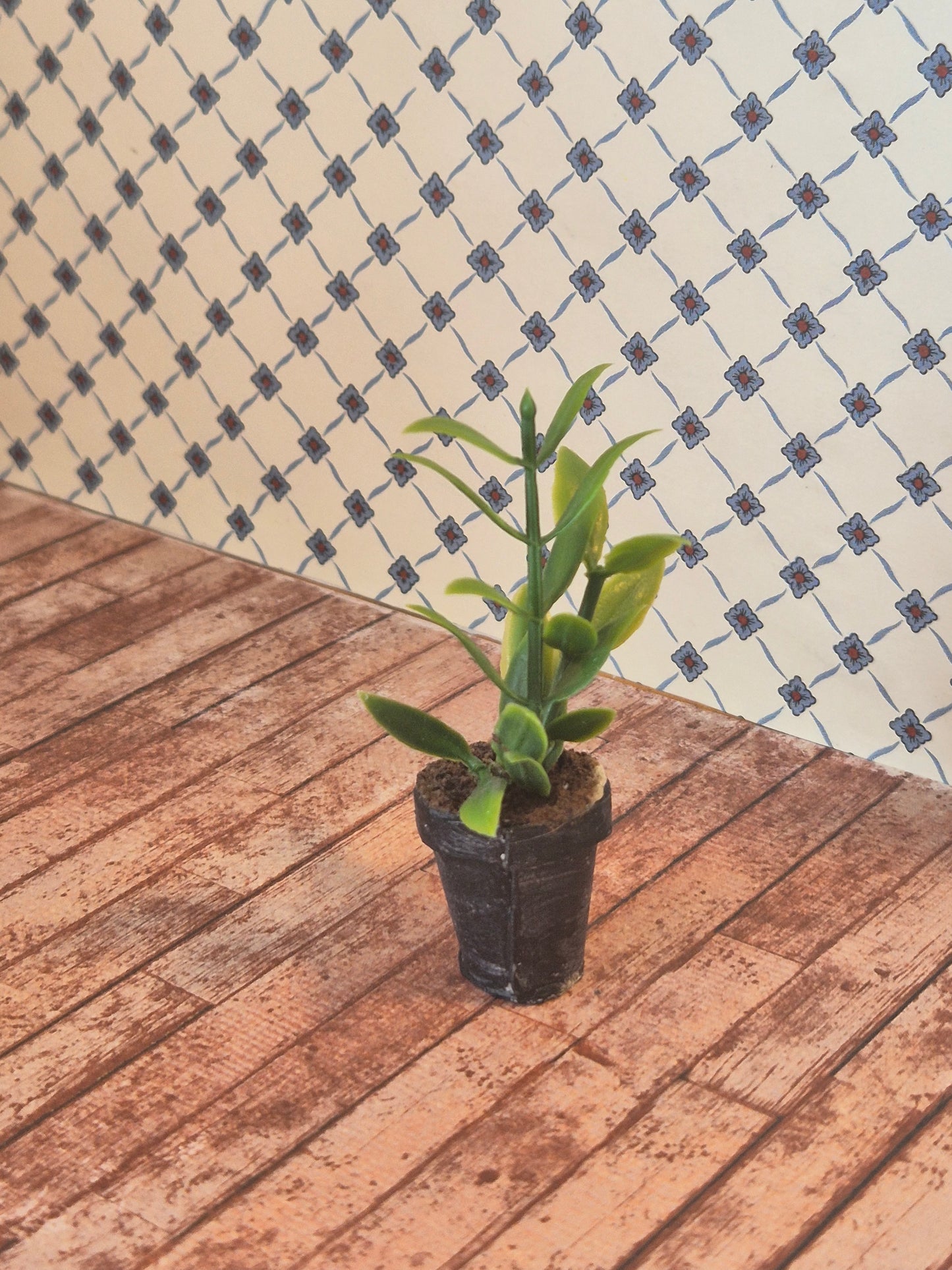 Plante