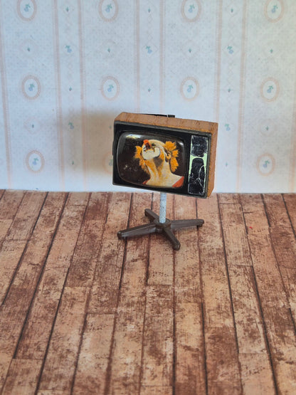 Lisa TV, patina