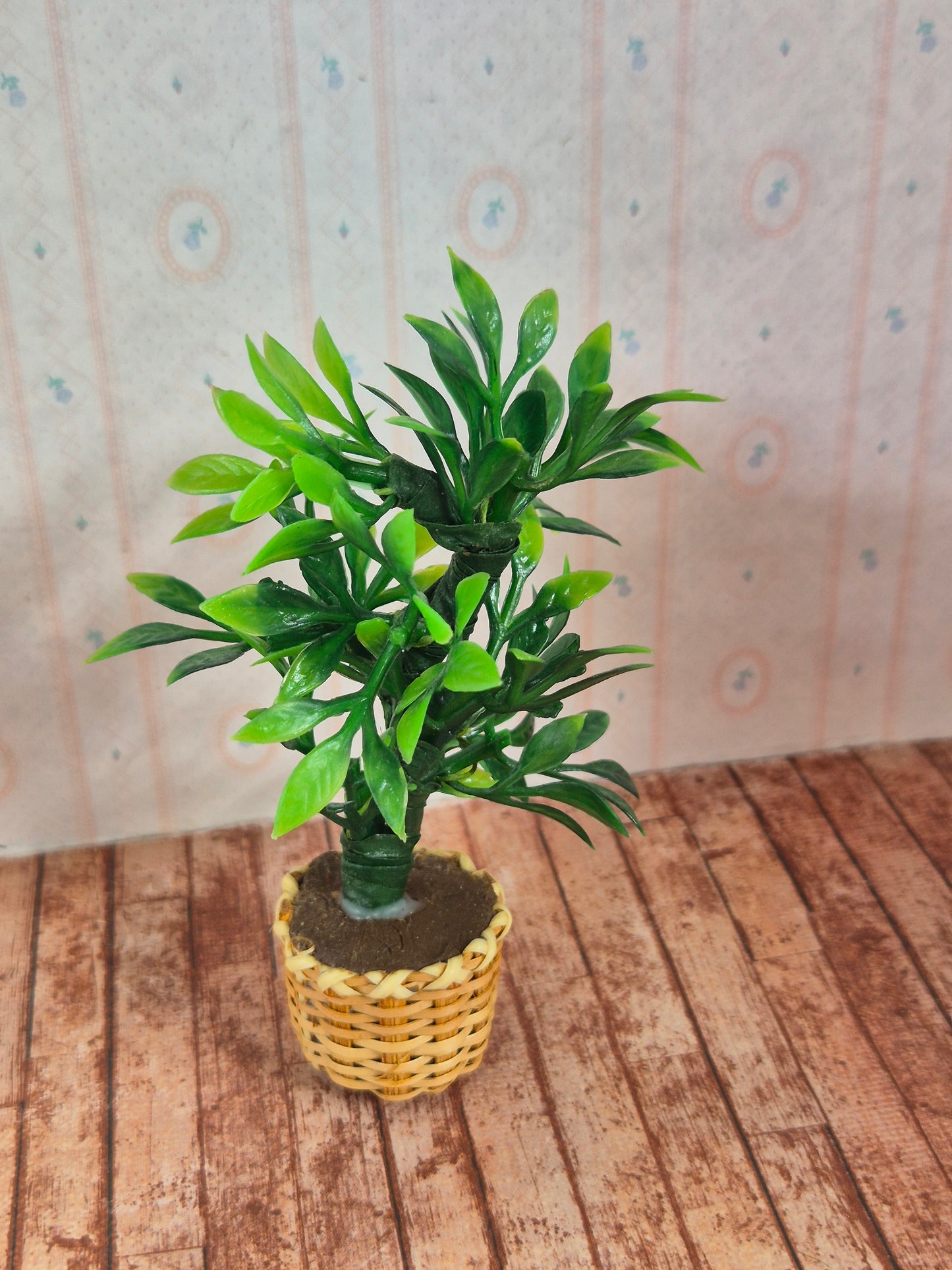Plante