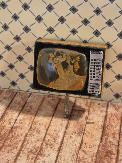 Lisa TV uden fod