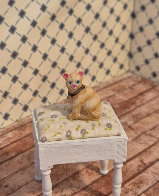 Kat