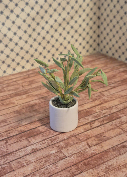 Lundby plante