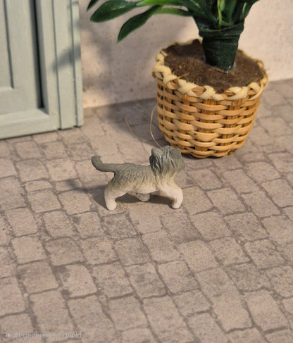 Lundby kat