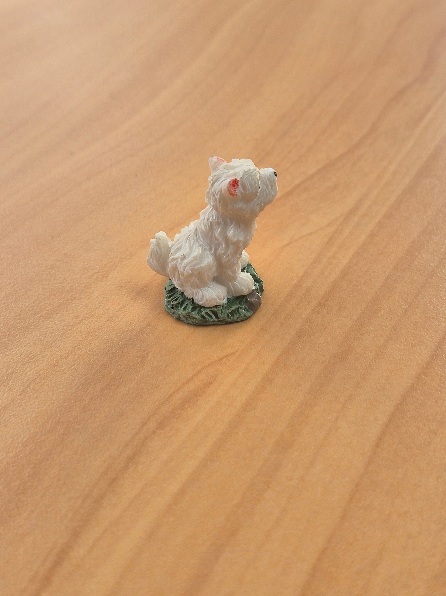 Hund