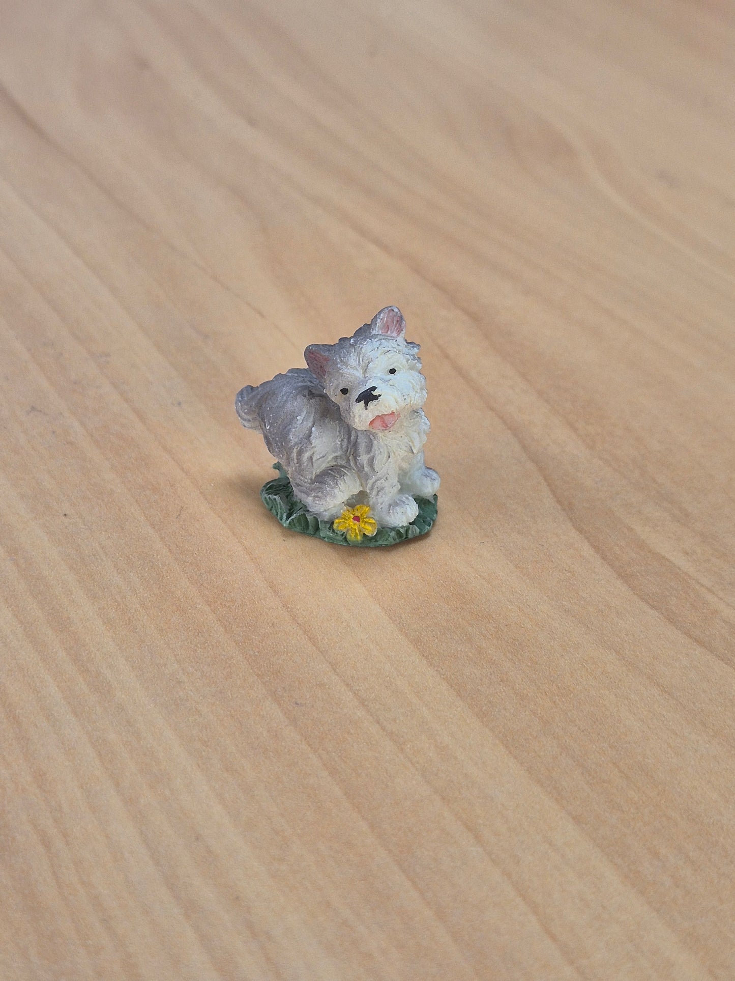 Hund