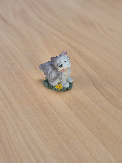 Hund