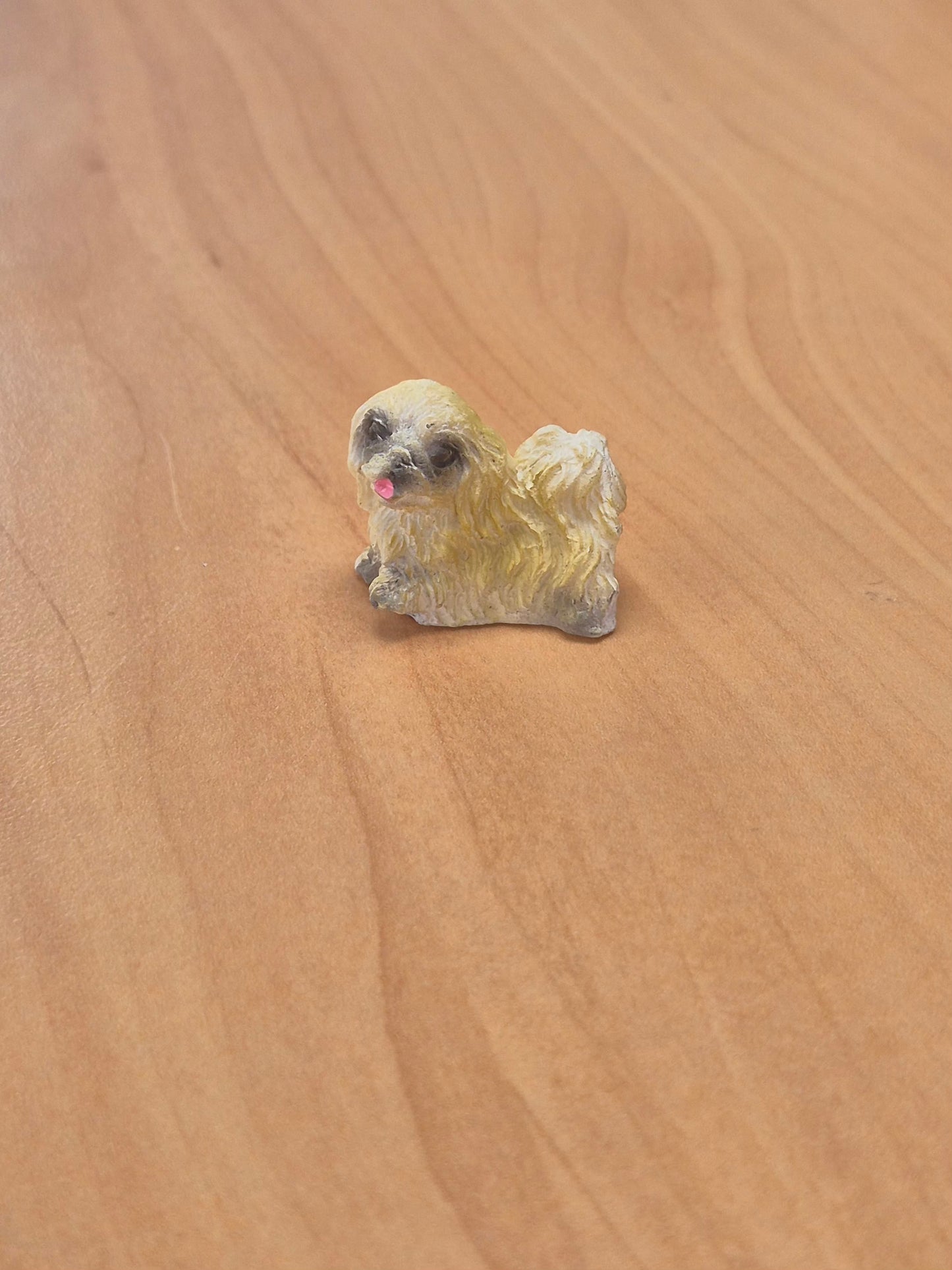 Hund