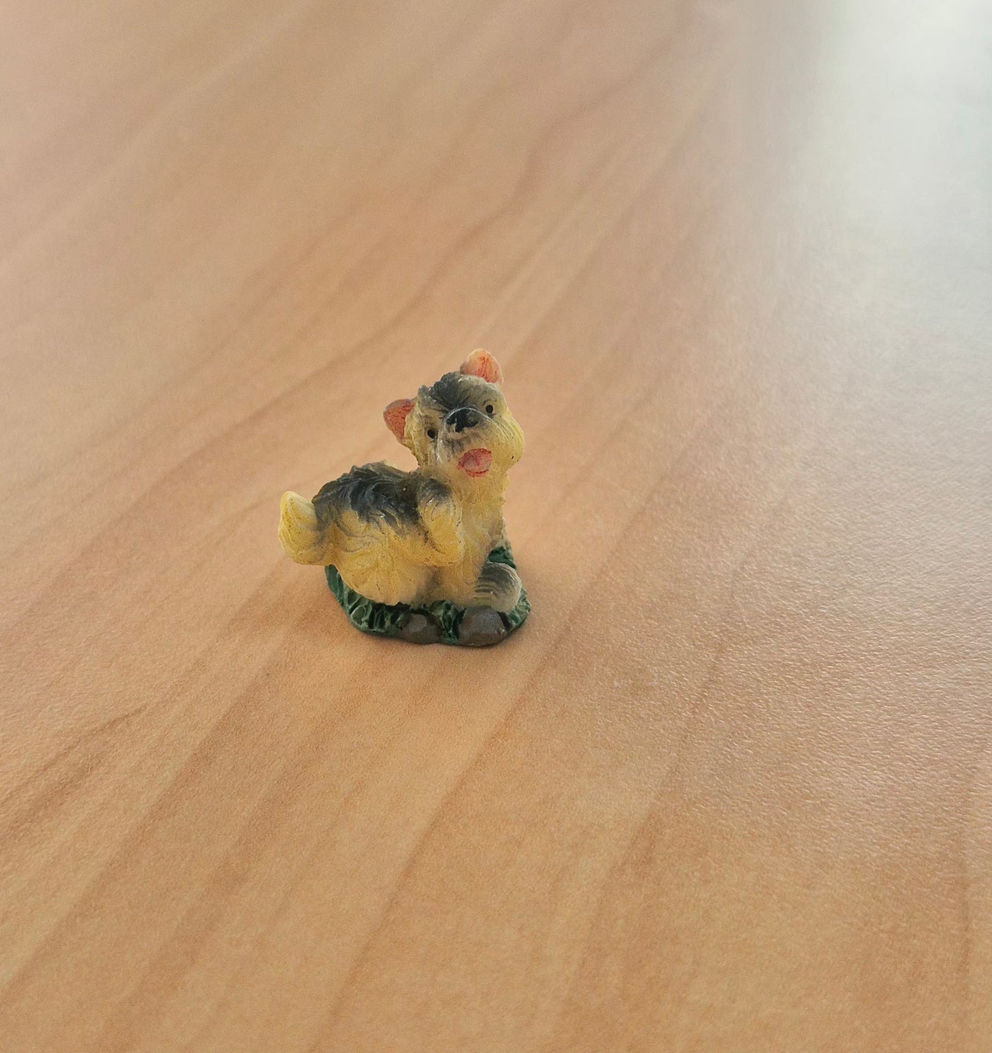 Hund