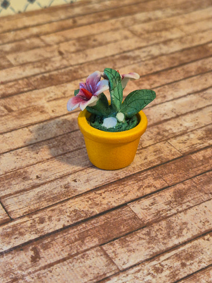 Blomst, skade