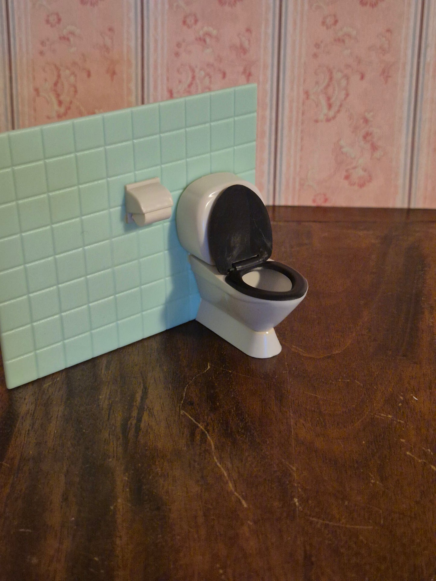 Brio toilet