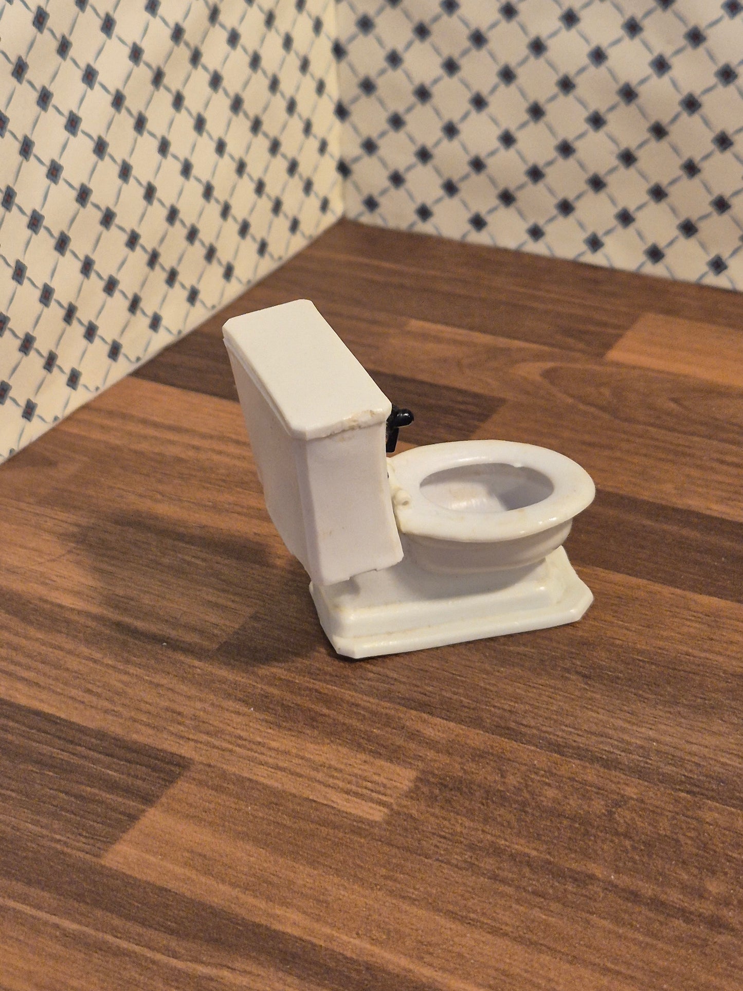 Renwal  toilet, skadet
