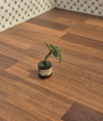 Lundby  plante