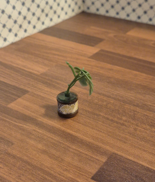 Lundby  plante